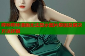 哔咔哔咔漫画无法显示图片原因及解决方法详解