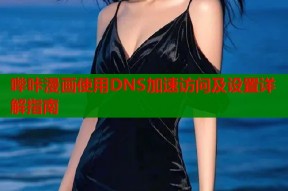 哔咔漫画使用DNS加速访问及设置详解指南
