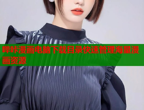 哔咔漫画电脑下载目录快速管理海量漫画资源  第1张