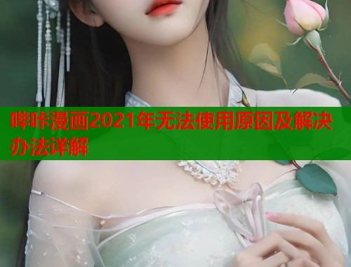 哔咔漫画2021年无法使用原因及解决办法详解  第1张