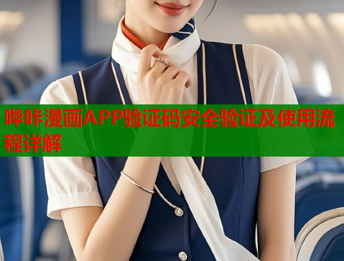 哔咔漫画APP验证码安全验证及使用流程详解  第1张