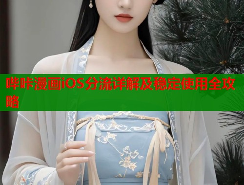 哔咔漫画iOS分流详解及稳定使用全攻略  第1张