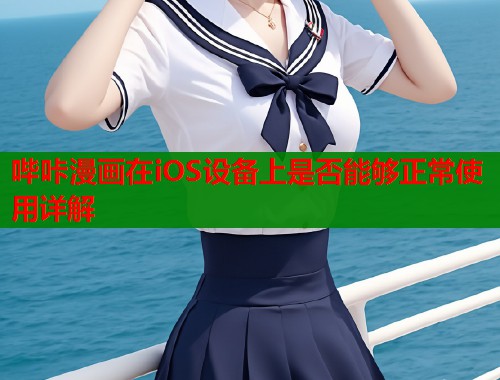 哔咔漫画在iOS设备上是否能够正常使用详解  第1张