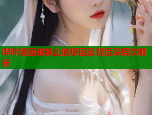 哔咔漫画被禁止的原因及背后深层次解析  第2张